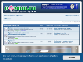 'popgun.ru' screenshot