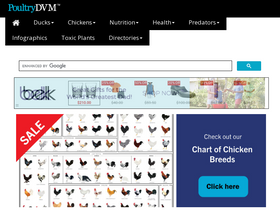 'poultrydvm.com' screenshot