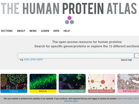 'proteinatlas.org' screenshot
