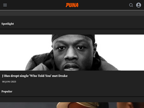 'puna.nl' screenshot