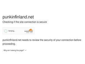 'punkinfinland.net' screenshot