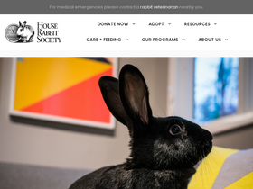 'rabbit.org' screenshot
