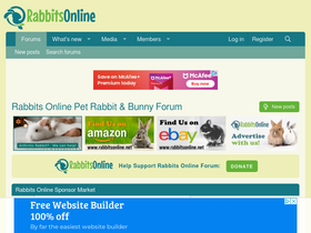 'rabbitsonline.net' screenshot