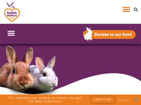 'rabbitwelfare.co.uk' screenshot