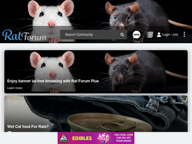 'ratforum.com' screenshot