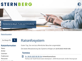'ratsinfomanagement.net' screenshot