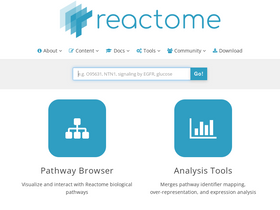 'reactome.org' screenshot
