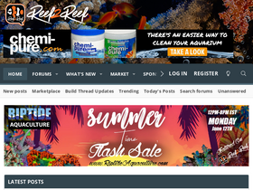 'reef2reef.com' screenshot
