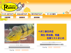 'remix-net.co.jp' screenshot