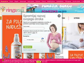 'ringaraja.net' screenshot
