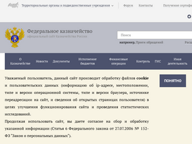 'roskazna.ru' screenshot