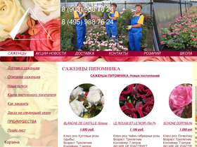 'rusroza.ru' screenshot