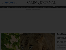'salina.com' screenshot
