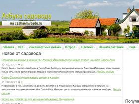 'sazhaemvsadu.ru' screenshot