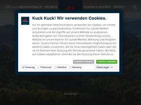 'schwarzwald-tourismus.info' screenshot