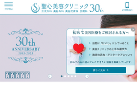 'seishin-biyou.jp' screenshot