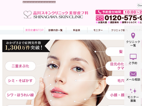 'shinagawa-skin.com' screenshot