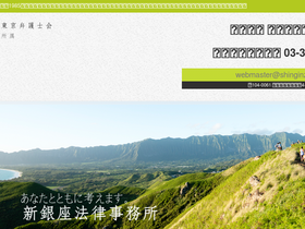 'shinginza.com' screenshot