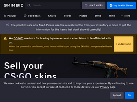'skinbid.com' screenshot