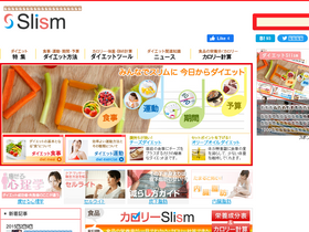 'slism.jp' screenshot