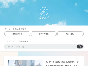 'soar-world.com' screenshot