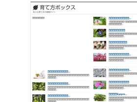'sodatekata-box.jp' screenshot