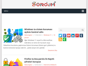 'sordum.net' screenshot