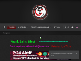 'spyhackerz.org' screenshot