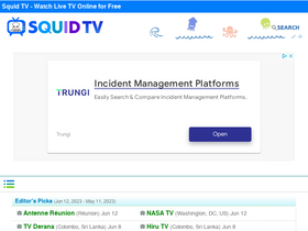 'squidtv.net' screenshot