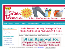 'stain-removal-101.com' screenshot