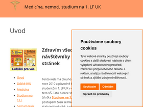 'stefajir.cz' screenshot