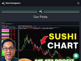 'stocknavigators.com' screenshot