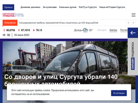 'stribuna.ru' screenshot