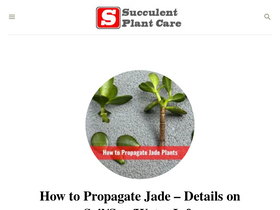 'succulentplantcare.com' screenshot