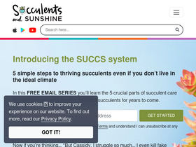 'succulentsandsunshine.com' screenshot