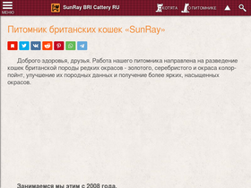 'sunny-cat.ru' screenshot