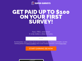 'super-surveys.co' screenshot