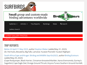 'surfbirds.com' screenshot