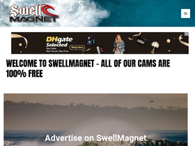 'swellmagnet.com' screenshot