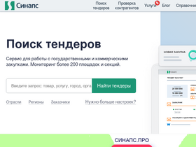 'synapsenet.ru' screenshot