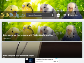 'talkbudgies.com' screenshot