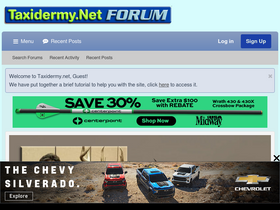 'taxidermy.net' screenshot