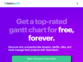 'teamgantt.com' screenshot