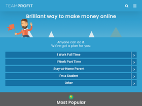 'teamprofit.com' screenshot