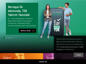 'tebyatirim.com.tr' screenshot
