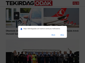 'tekirdagodak.com' screenshot