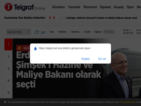 'telgraf.net' screenshot