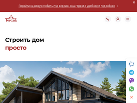 'terem-pro.ru' screenshot