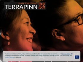 'terrapinn.com' screenshot