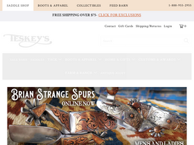'teskeys.com' screenshot